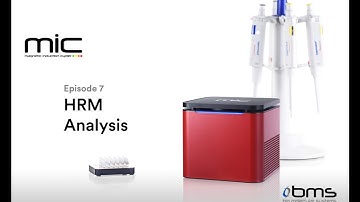 Episode 7   HRM Analysis