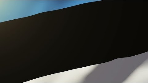 4K Estonia flag waving in the wind. Looping sun rises style. Animation loop Stock video