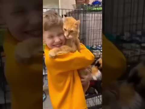 The cat chose