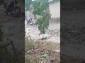 कैसा खेल रचाया तूने short सोंग्स न्यू वायरल वीडियो new viral video 💯