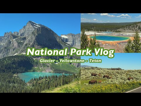 미국 브이로그 🇺🇸 | 글래시어 Glacier, 옐로스톤 Yellowstone, 티톤 Teton 국립공원 여행