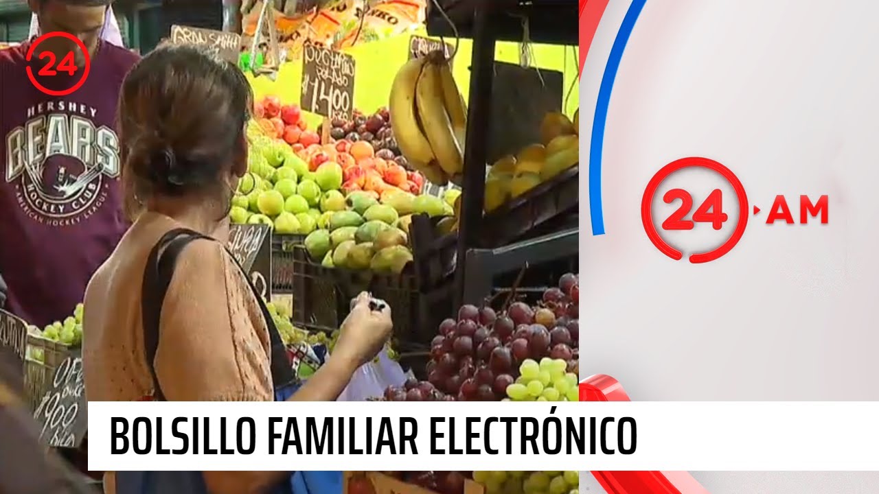 ¿Cómo funciona el Bolsillo Familiar Electrónico? 24 Horas TVN Chile