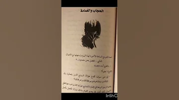 هذا ما حدث معي اسامة المسلم ماجد خوف 