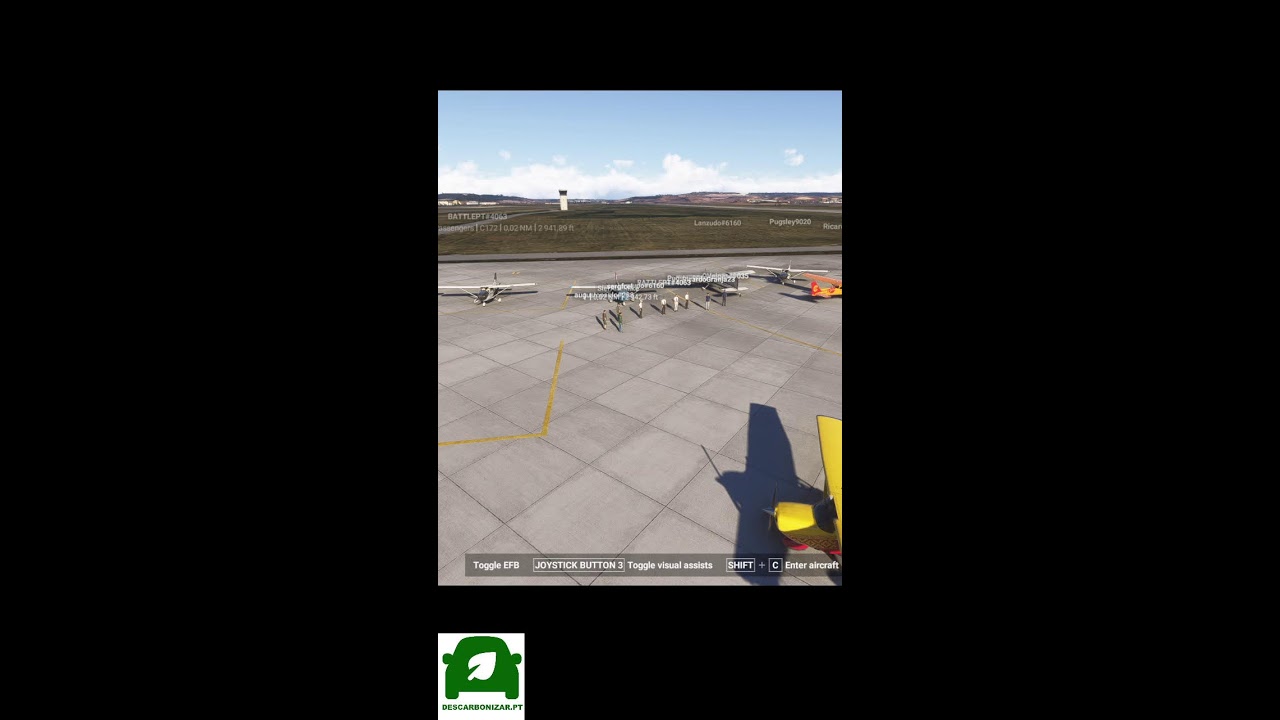 Voo em Grupo - Trabalhar para a Companhia | MSFS 24 (Portrait)