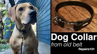 Make a QR DOG COLLAR from an Old Belt by Repairs101 443 views 6 months ago 4 minutes, 48 seconds
