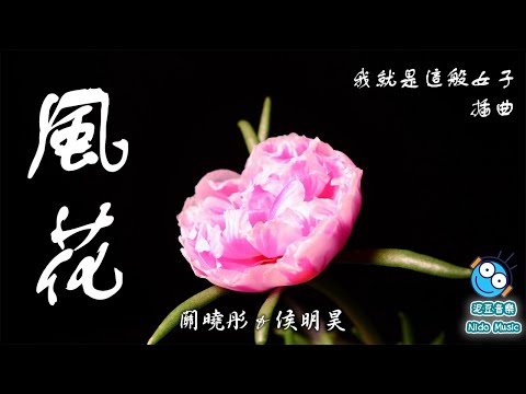 【我就是這般女子 A Girl Like Me】風花（網路劇 插曲）關曉彤 & 侯明昊（動態歌詞 lyrics）【泥豆音樂Nido Music】