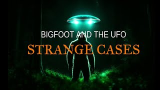 “Bigfoot and The UFO: Strange Cases” | Paranormal Stories