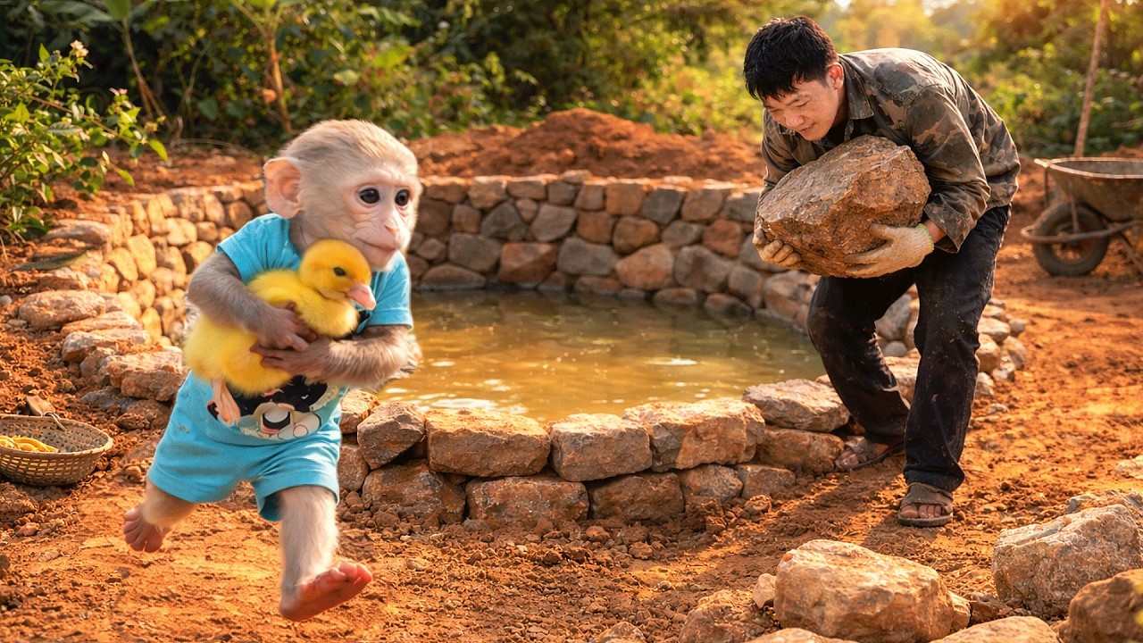 Saving a Poor Baby Duck! 🐣 Kabi and Dad Build a Dream Pool