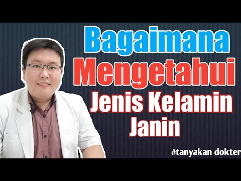 Video: Bagaimana membedakan jenis kelamin berdasarkan penempatan plasenta?