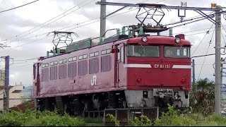 EF81 151 単機回送