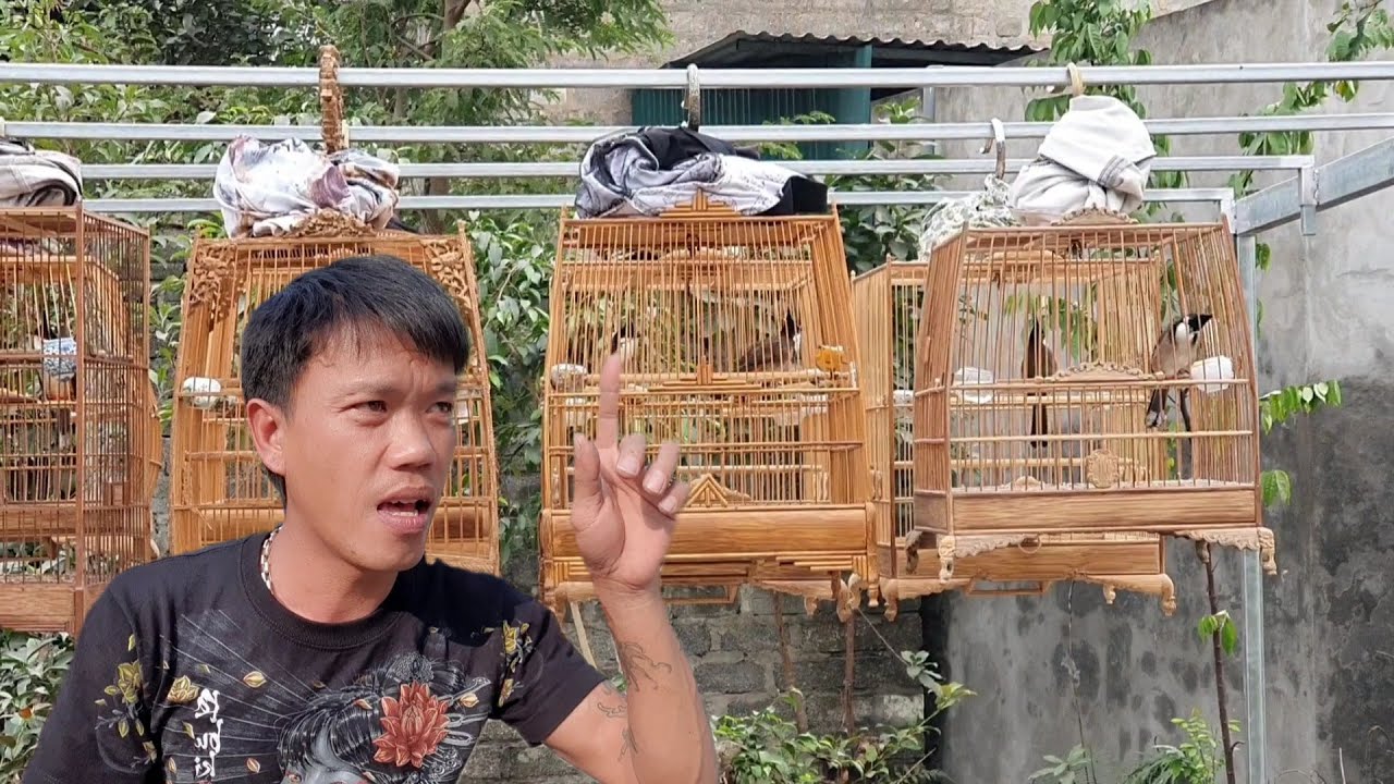 TẠI SAO CHIM DƯỢT CHƠI TỐT👉 ĐI THI LẠI BỎ ĐẤU