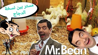 Training Mr Beans chicken to eat politely / عجيب وغريب تدريب دجاج مستر بين على تناول الطعام