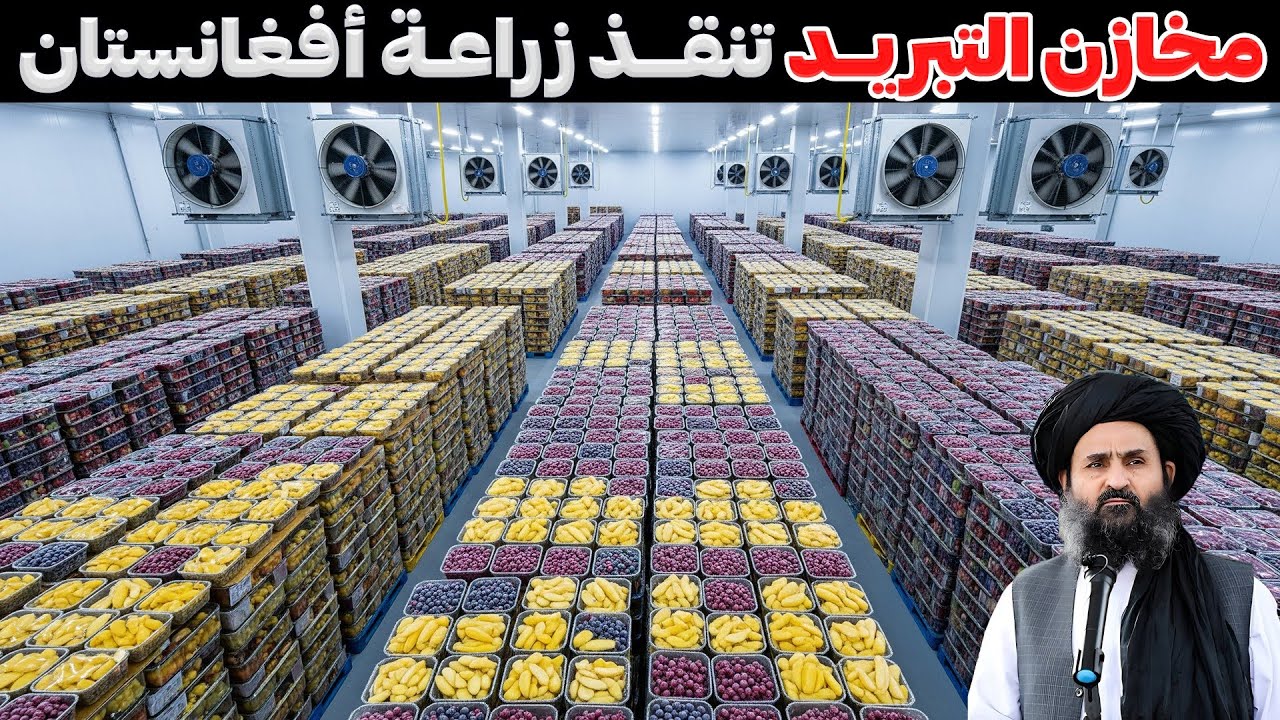 مخازن التبريد تُنقذ زراعة أفغانستان