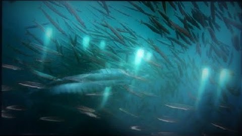 Introduction to Evolution