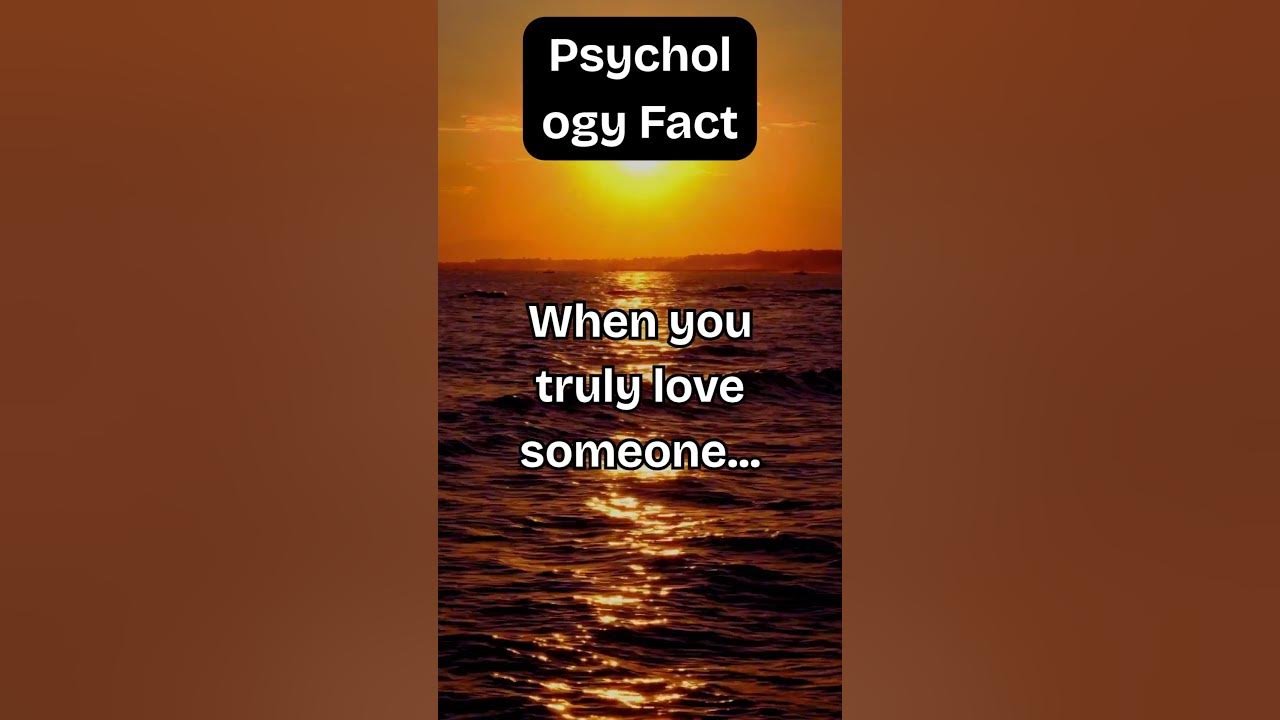Mind Blowing Halococo Facts You Need To Know - p7grr7y