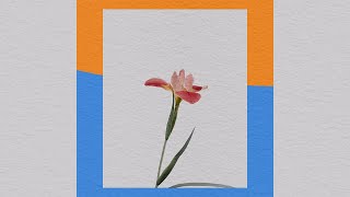 The Blue Desert Flower - (Audio)