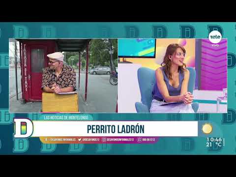 Noticias Montelongo 23/04/2021