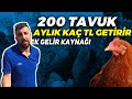 200 TAVUK AYLIK KAÇ PARA KAZANDIRIR ? | YUMURTA TAVUKÇULUĞU