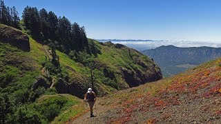 Saddle Mountain Hike Oregon Coast Range
The 5 mile roundtrip hike up Saddle Mountain begins climbing immediately from the parking lot. Portions of the trail are quite steep and covered with wire mesh to aid traction. Shoes with good traction are a must! In July, many different varieties of wildflowers can be seen. Saddle Mountain Hike Oregon Coast Range