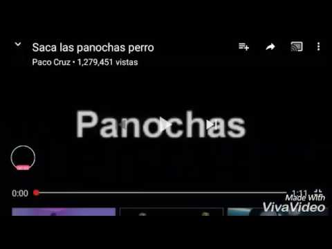 la cancion del perro