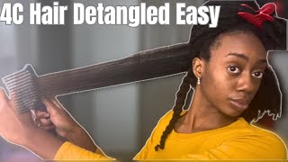 How I Detangle &amp; Pre-Poo My Thick 4C Natural Hair Without Breakage