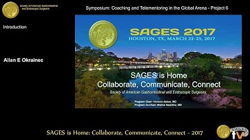 Coaching and Telementoring in the Global Arena: Introduction