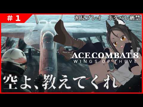 【ACE COMBAT 8 #1 】いざ大空へ！空よ、教えてくれ！【ネタバレ厳禁】