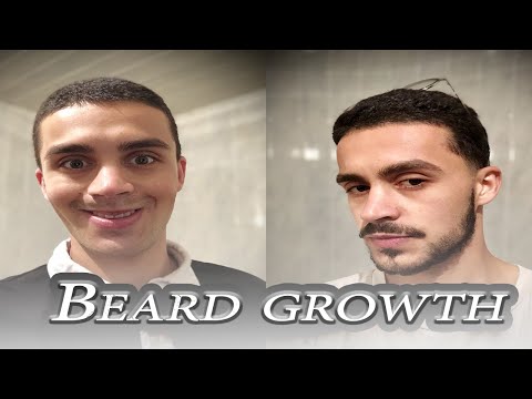 Have a beard in 31 days - Timelapse