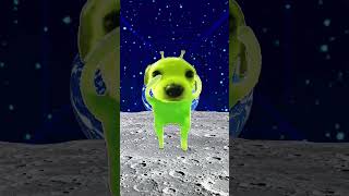 New dance trend partydog 😱😱 #funny #comedy