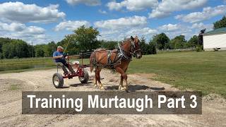Ralph Rice Training Murtaugh Part 3