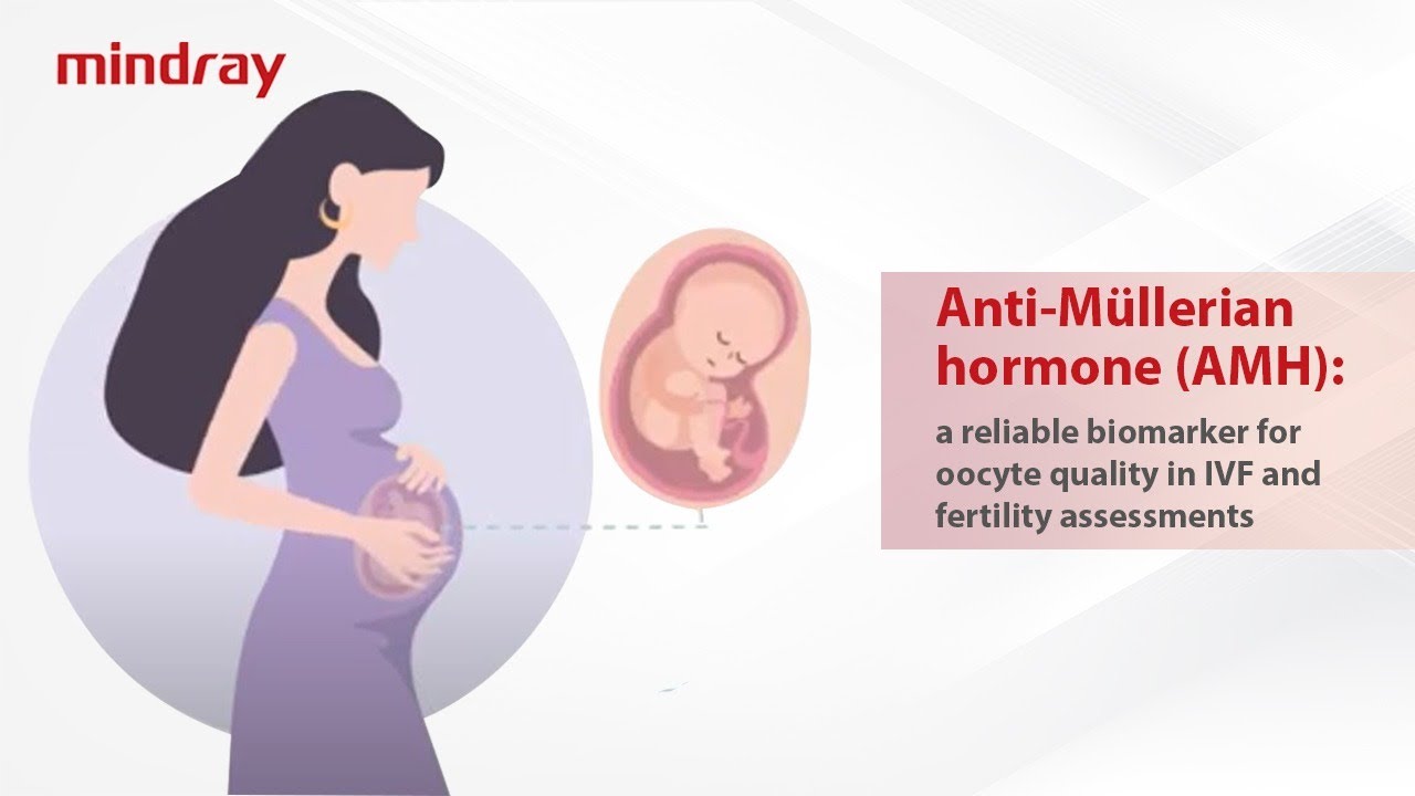 Anti-Müllerian hormone (AMH): a reliable biomarker for oocyte quality ...