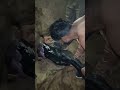#buffalo #shortvideoviral#distokiya