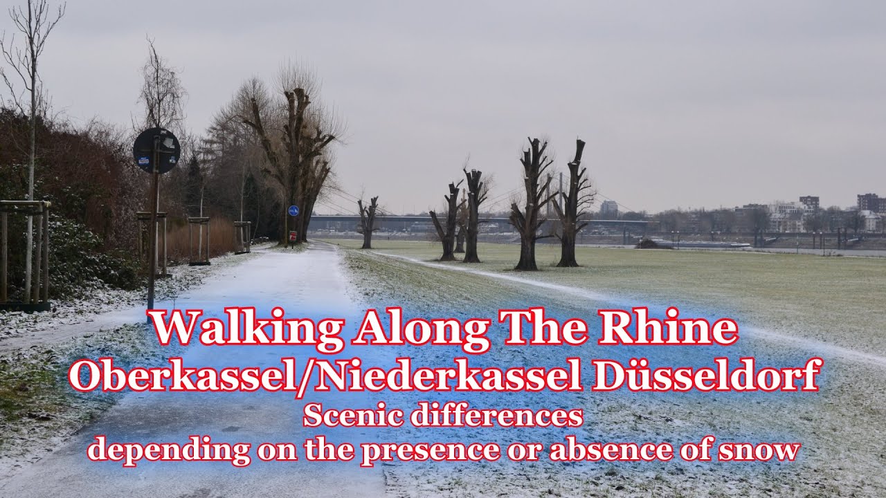 Walking Along The Rhine - Oberkassel/Niederkassel - Scenic differences between with/without snow