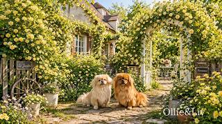 Happy Morning Bossa Nova at a Garden Cafe ~ Soft Jazz Music & Garden Relaxation for Good Mood screenshot 3