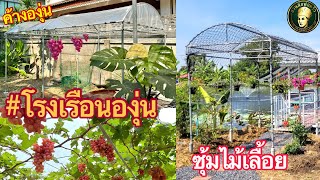 โรงเรือนองุ่น 3 in 1 l โรงเรือนองุ่น | ค้างองุ่น | ซุ้มไม้เลื้อย | โรงเรือนปลูกผัก | สวนผักพ่อครัว