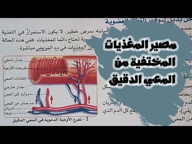 الدرس 04: أحدد مصير الأغذية المهضومة الجزء 02 ص 17-18 علوم طبيعية سنة 04 متوسط الجيل 02 / نسخة قديمة