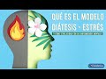 Qué es el modelo diátesis-estrés y cómo se relaciona con las enfermedades mentales.