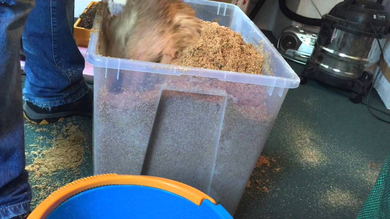 Herstellung Flake soil