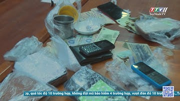 Triệt xóa tụ điểm đánh bạc xã Truông Mít | AN NINH HÌNH SỰ | TayNinhTV