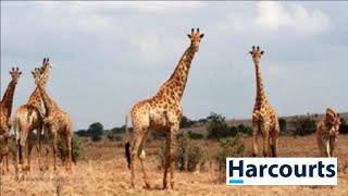 Vacant Land For Sale In Rustenburg, North West, South Africa For Zar 481,500