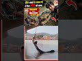 Reel बनाने के चक्कर में मगरमच्छ से पंगा लेना पड़ा भारी 🥺 #shorts #reels #crocodile #viralvideo #pics