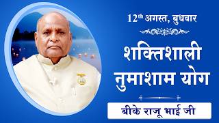 LIVE: नुमाशाम का योग | Evening Meditation  COMMENTARY के साथ | BK Raju Bhai Ji | 12 August 2026