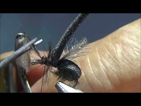 Vidéo: Développement De Marqueurs Microsatellites Polymorphes EST Pour La Mouche Du Sable, Phlebotomus Papatasi (Diptera: Psychodidae)