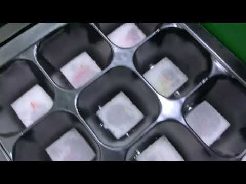 Hydroponics | Home garden | Grow your own food | Urban Farming | Gardening | Home Garden | Organic