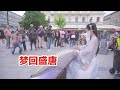 古筝版【双面燕洵】国外街头带你梦回盛唐 丽人行 【Double sided swaddling】 Guzheng Cover