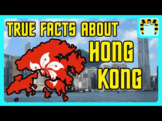 Everything You Need to Know About Hong Kong class=