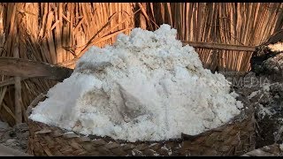 Lihat Cara Pembuatan Garam Tradisional Tanah Timor  Ragam Indonesia