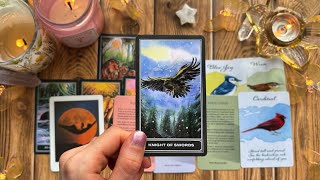 This Message Was Meant To Find You Right Now