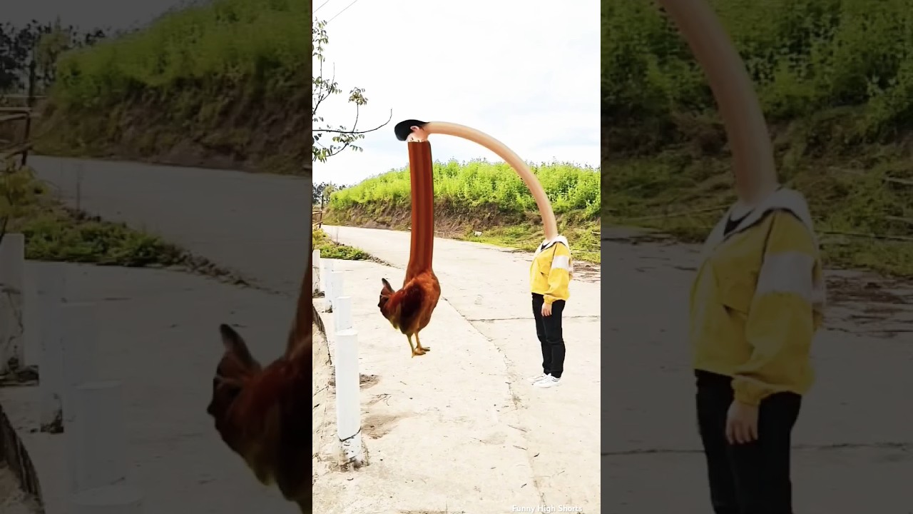 Fight? 😡😂 3D Special Effects 