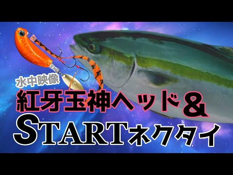 玉神を半年間使い続けてみた結果…STARTネクタイとの組合せがヤバい